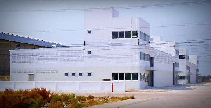 Company Profile